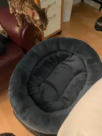Small Cat Bed