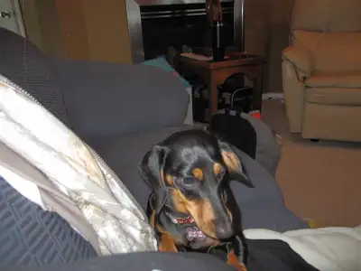 Camera found Bowness Park., View more