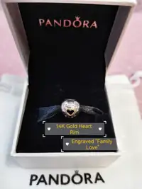 Authentic Brand New Pandora Charms (Full Packaging)