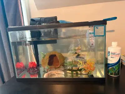 Axolotyl fish tank - full kit! ‍♂️, View more