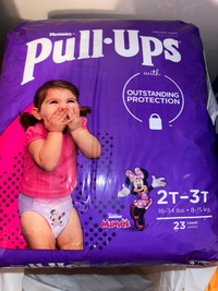 Huggies Pull-Ups Plus Training Pants 2T - 3T Girl, 128-pack