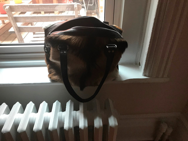 Sac peau de chèvre dans Femmes - Sacs et portefeuilles  à Ville de Montréal - Image 3