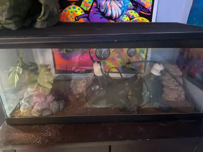 Full reptile terrarium setup, View more