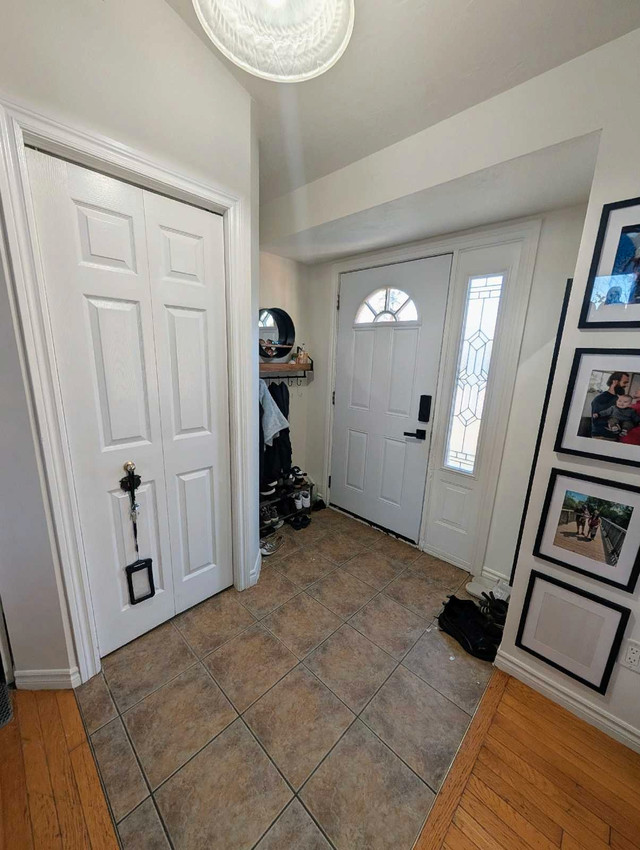 3 bedroom House in Long Term Rentals in Moncton - Image 4
