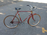 Men's Raleigh Cruiser bicycle (LG 23" frame)