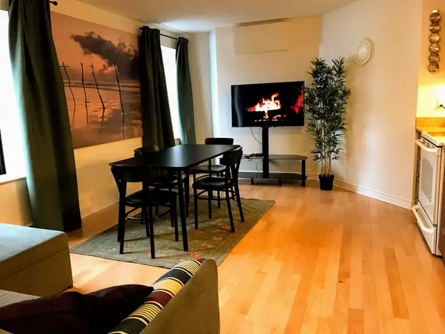 Furnished 1-bedroom near Guy-Concordia, Sep 1, 6-month lease