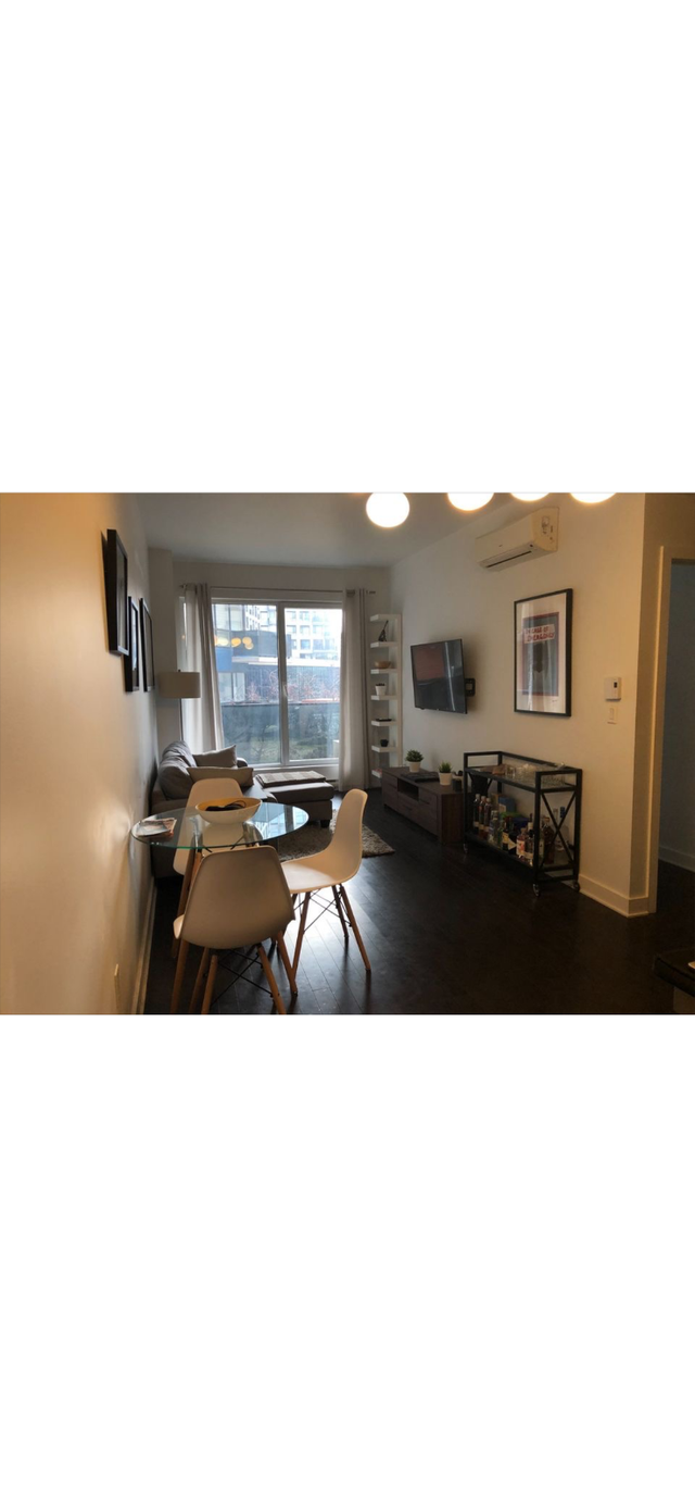 1 Bed 1 Bath Apartment ALL FURNISHED