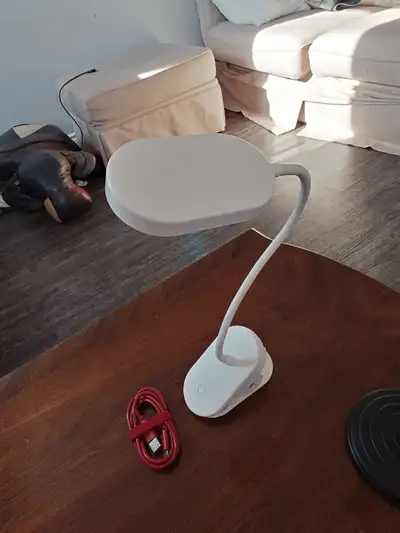 LED desk lamp, runs on AA battery or USB power