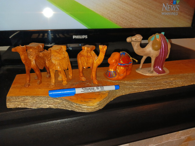 Camel   Carvings in Other in Winnipeg