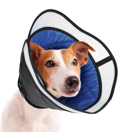 49 ads for dog cone collar in All Categories in Canada Kijiji Marketplaces