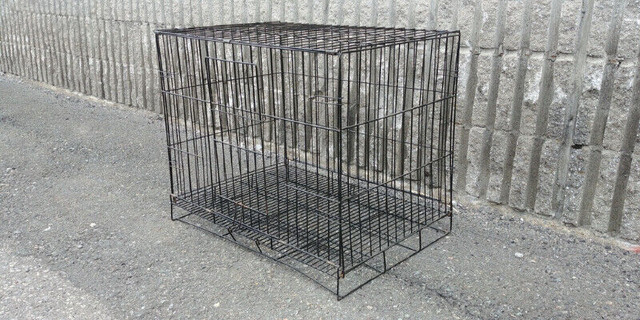 Cage en Metal pour petit chien dans Accessoires  à Longueuil/Rive Sud