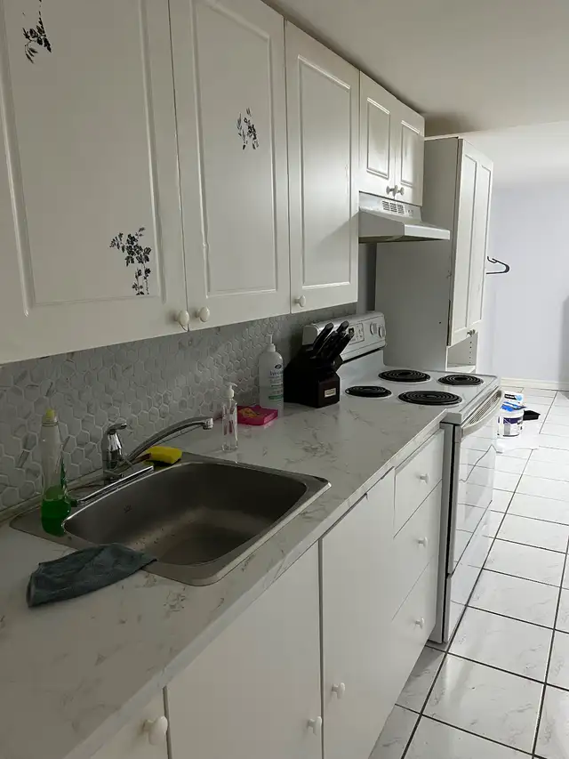 ALL INCLUSIVE 2 BR BSMNT UNIT - YONGE/DAVIS FOR RENT OCT 1st! in Long Term Rentals in Markham / York Region - Image 6