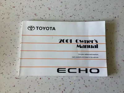 For you 2001 ECHO