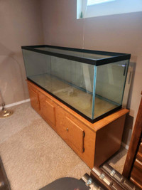 Used - 150 Gallon Glass Fish Tank & Custom made hardwood stand