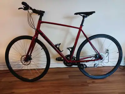 2024 Trek FX1 Disc, 8-speed Bike., View more