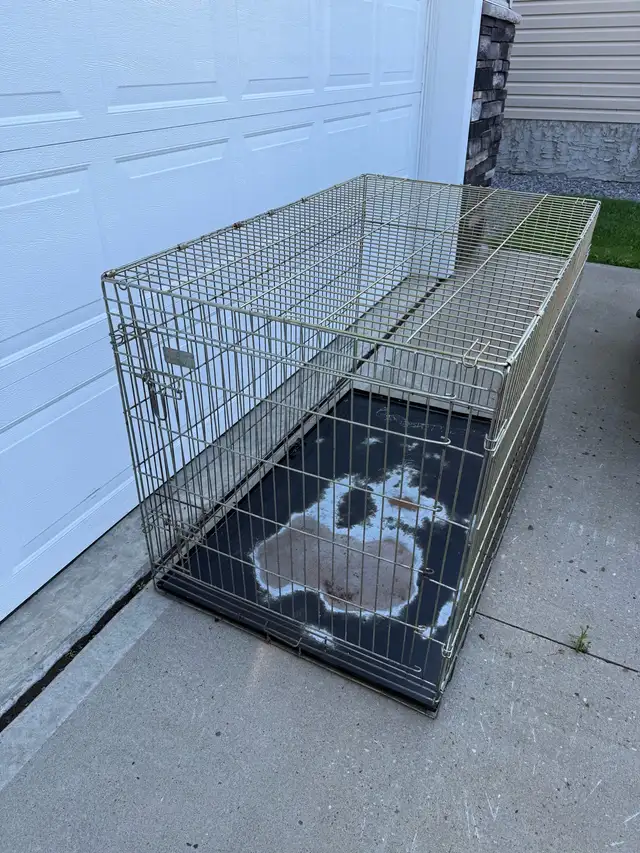 Xxl dog crate  in Accessories in Strathcona County - Image 2