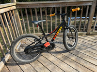 Trek Precaliper 20 -  Quality Kids Bike