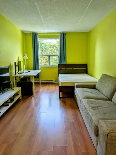 A master bedroom suite for Rent