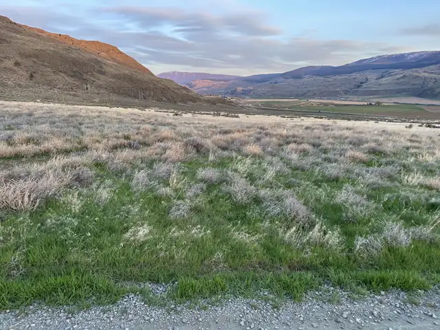 7 VIEW Acreages For Sale 32 Mins W of Kamloops 8, 10, 81 Acres in Land for Sale in Kamloops - Image 3