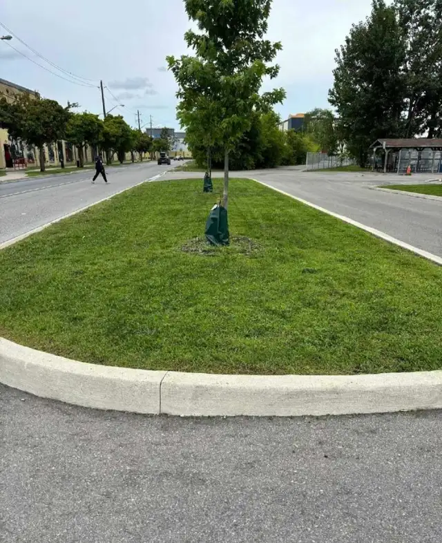 Toronto & GTA Landscaping | Lawn Care, Garden Services in Lawn, Tree Maintenance & Eavestrough in City of Toronto - Image 9