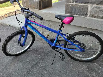 children 20inch bike, View more