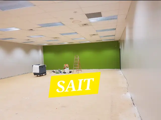 The Best painter at best price62863719134851124