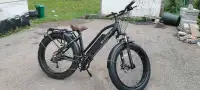 E-Bike for sale 