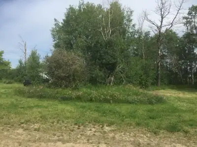 Fully serviced lot for sale in Jean-cote Alberta on pavement. This is a great community, friendly ne...