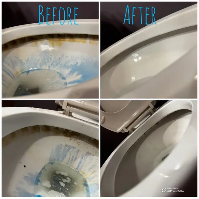 maplepro cleaning company594614340205957121