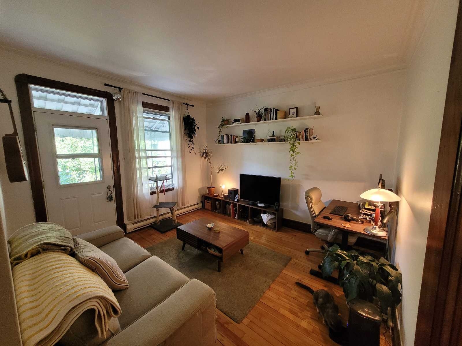 Appartement 4 1/2 à louer - Rosemont-La Petite-Patrie — photo 1