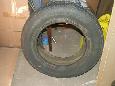 BF Goodrich Winter Slalom KSI 205/65R15 94S BSW The wheel of the car was slightly chipped on one sid...