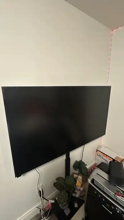 LG 55inch 4K tv not smart, View more