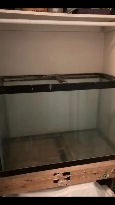 65 gallon fish tank with stand with some stuff to go with it . 110ob