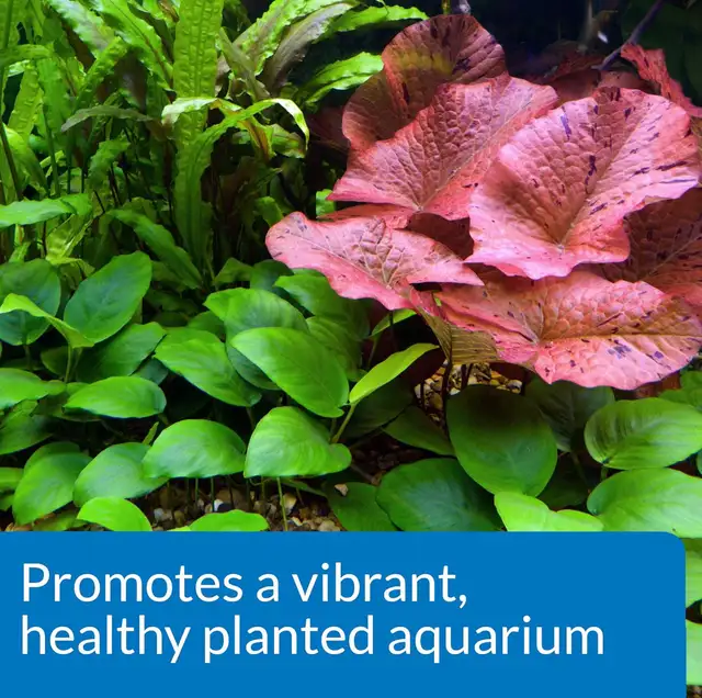 API CO2 BOOSTER Freshwater Aquarium Plant Treatment  in Accessories in Hamilton - Image 6