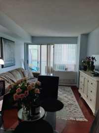 1 bedroom condo at Yonge and Sheppard with parking