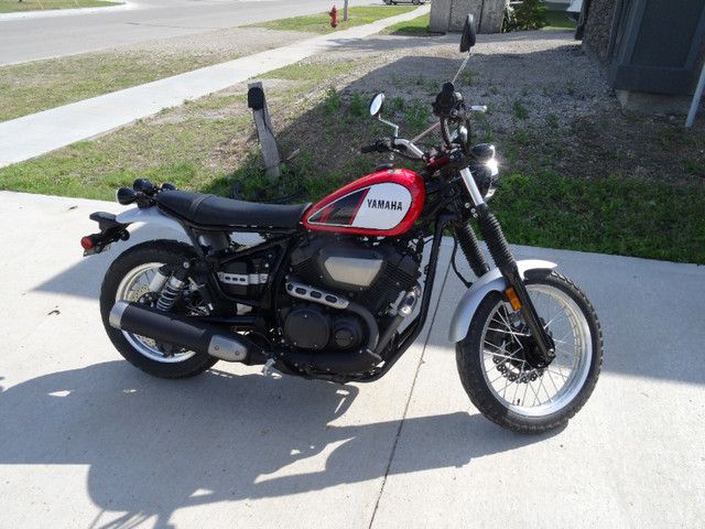 Yamaha SCR 950 in Street, Cruisers & Choppers in Winnipeg - Image 2