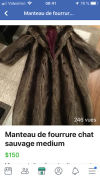 Manteau de fourrure de chat sauvage