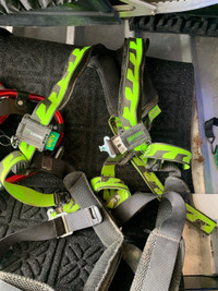 Safety Harness 800$ value 240 Obo