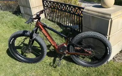 2024 Rocky Mountain Blizzard Powerplay Alloy 50 electric fat bike is like new, Only 75 Km and going...