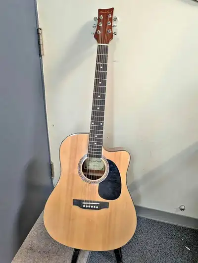 Beaver Creek BCTD101CE Acoustic Guitar, View more