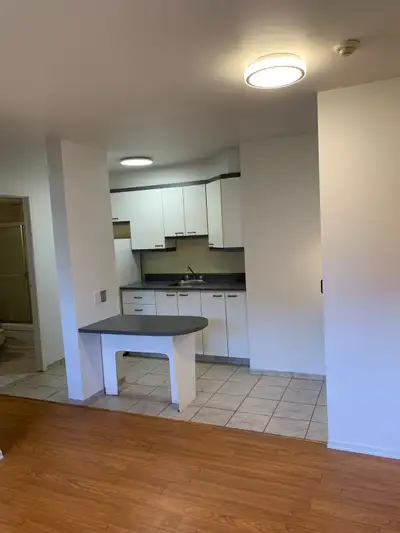 BEAUTIFUL SEMI-FURNISHED, RENOVATED APARTMENT FOR RENT, 2 1/2 – like 3.5 rooms, well located in Old...