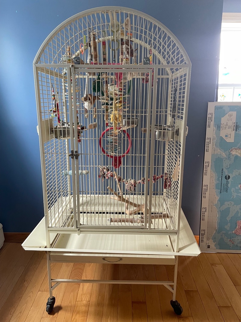 Superbe cage à oiseaux Autre Granby Kijiji