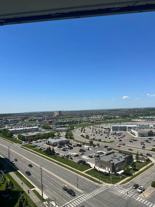  e-commerce business looking for partner 