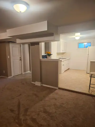 1 Bedroom Basement Suite – Parkdale Area