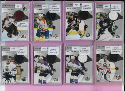 Hockey Cards: 80 Jersey Cards (DiPietro, Briere, Jagr, Peca etc), View more