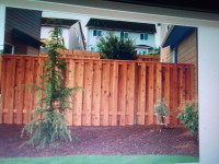 Fence, deck, interlock. landskape