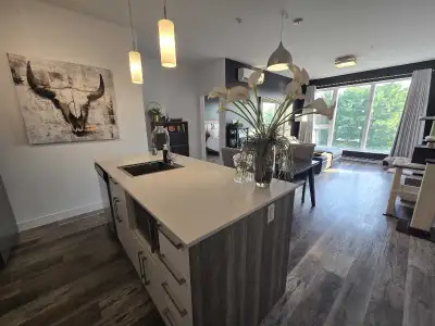 4 1/2 tout inclus à louer (cessation de bail avec possibilité de renouveller pour juillet). Le prix...