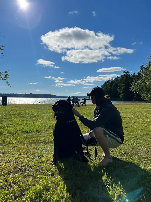 Free food needed in Free Stuff in Muskoka - Image 2
