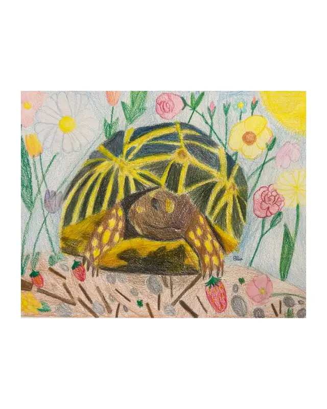 SUMMER ART LESSONS64961231459841124