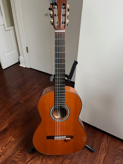 Cordoba C9 Parlor Guitar (short Scale) Classical Guitar